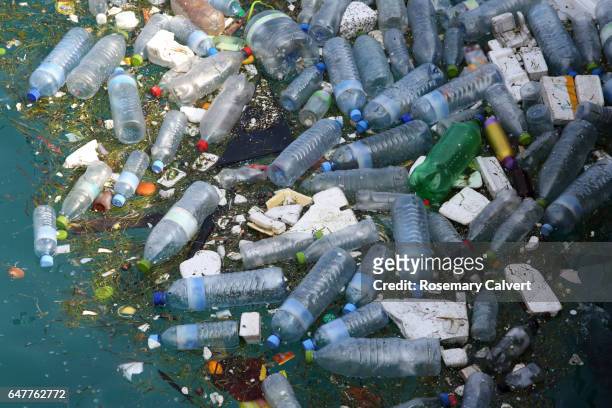 plastic bottles and polystyrene floating in sea. - plastic foto e immagini stock
