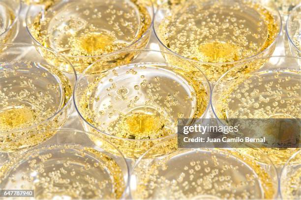 glasses with bubbling champagne at a wedding - champagne fotografías e imágenes de stock