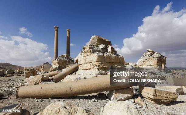 Picture taken on March 4, 2017 shows fallen columns at the site of the ancient city of Plamyra in central Syria. Syrian troops backed by Russian jets...