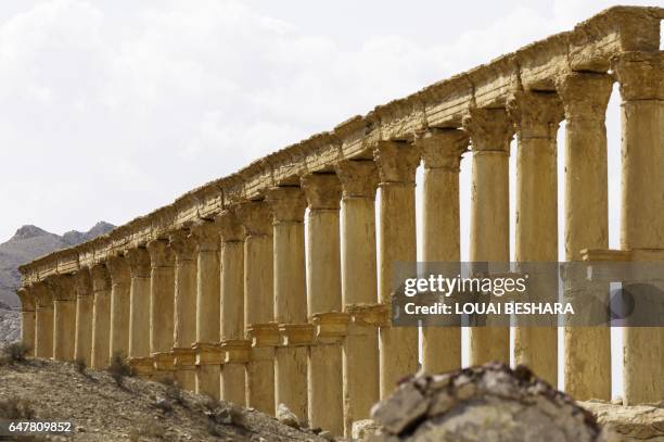 Picture taken on March 4, 2017 shows the damaged site of the ancient city of Palmyra in central Syria. Syrian troops backed by Russian jets completed...