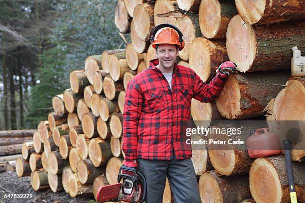 forestry worker stood next to felled trees - lumberjack stock pictures, royalty-free photos & images