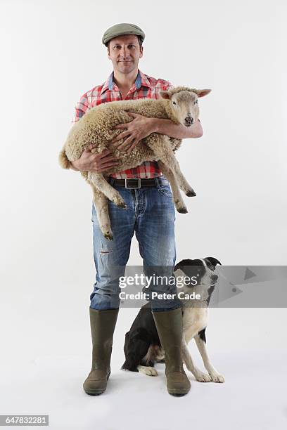 farmer with sheep and dog - shepherd stock pictures, royalty-free photos & images