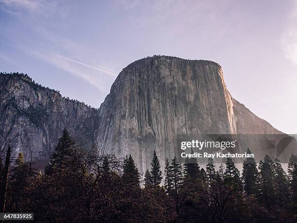 el capitan, yosemite - ヨセミテ ストックフォトと画像