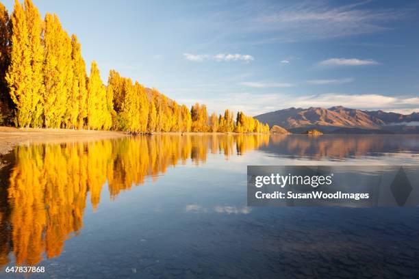 herbst reflexionen in lake wanaka, neuseeland - wanaka stock-fotos und bilder