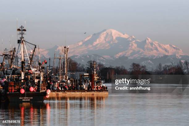 steveston fisherman’s wharf with mt. baker - richmond british columbia stock pictures, royalty-free photos & images