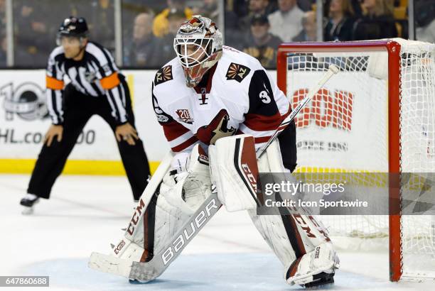 Arizona Coyotes goalie Louis Domingue gets set for a face off during a regular season game between the Boston Bruins and the Arizona Coyotes on...