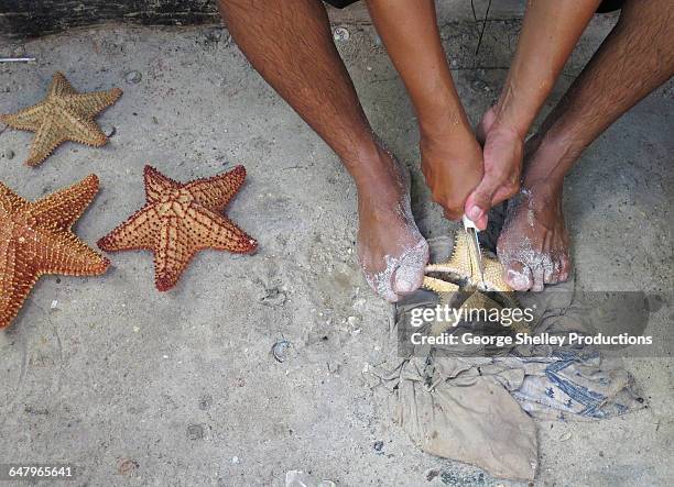 cutting star fish to sell shell - ugly mexican people stock pictures, royalty-free photos & images