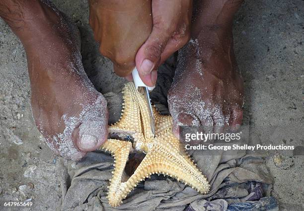 cutting star fish removing guts - ugly mexican people stock pictures, royalty-free photos & images