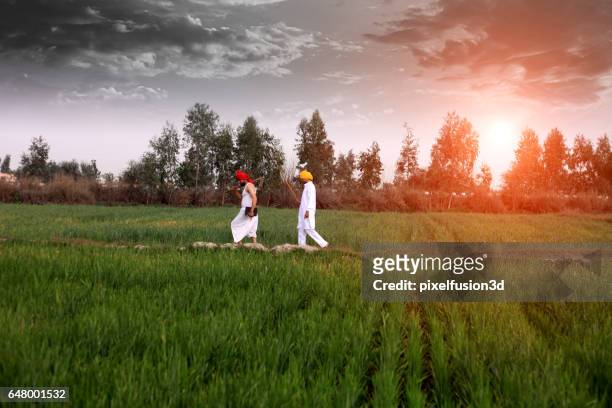 agricoltore che cammina sul campo al mattino - afferrare foto e immagini stock