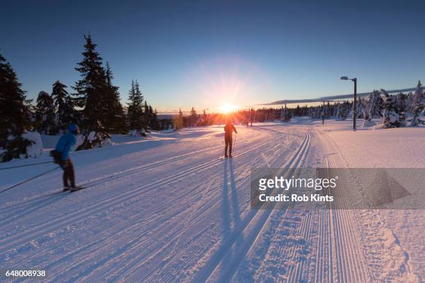 cross country skiers at sunset - lillehammer stock pictures, royalty-free photos & images