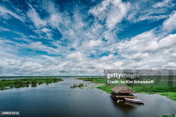 view from iquitos - amazon river stock pictures, royalty-free photos & images