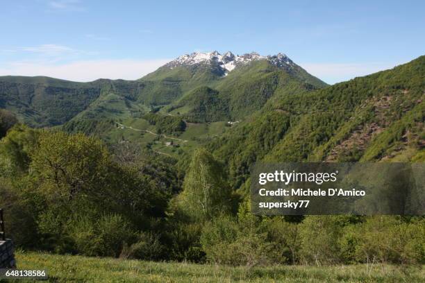 snow-capped mountain surrounded by green beech forests - supersky77 2014 foto e immagini stock