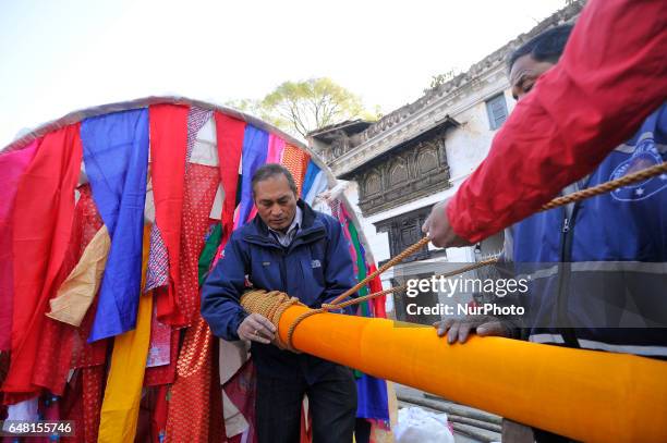 Members of Manandhar Guthi community arranging ceremonial Bamboo Log know as &quot;Chir&quot; along with the vibrant cloth strips, which representing...