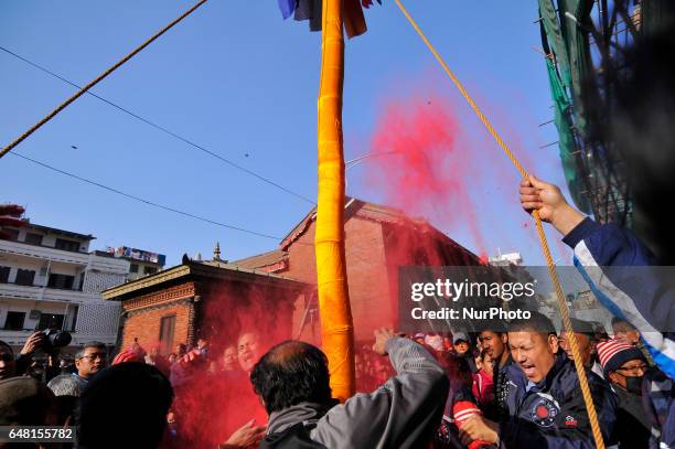 Members of Manandhar Guthi erecting ceremonial Bamboo Log known as &quot;Chir&quot; along with the vibrant cloth strips, which representing good luck...