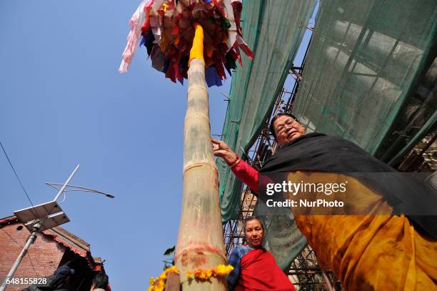 Nepalese devotee offering rituals puja towards Bamboo after erecting ceremonial Bamboo Log known as &quot;Chir&quot; along with the vibrant cloth...