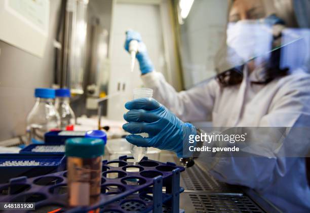 vrouwelijke wetenschapper in lab - cells science stockfoto's en -beelden