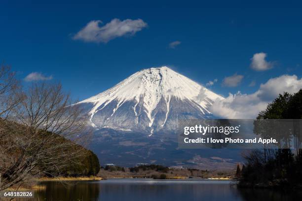 early spring fuji - 静岡県 - fotografias e filmes do acervo