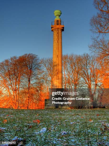 bridgewater monument, ashridge - hertfordshire stock-fotos und bilder