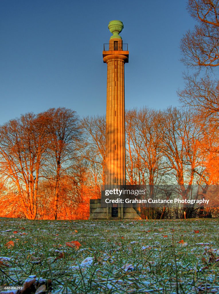 Bridgewater Monument, Ashridge