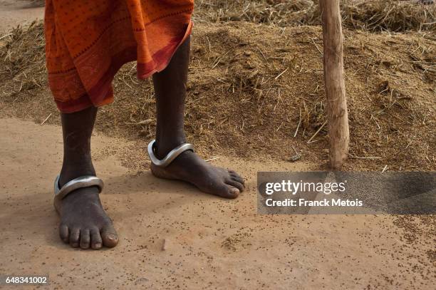 millet harvest ( india) - adivasi stockfoto's en -beelden