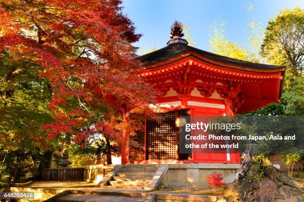 autumn foliage of tofuku-ji temple, kyoto - japan temple stock pictures, royalty-free photos & images