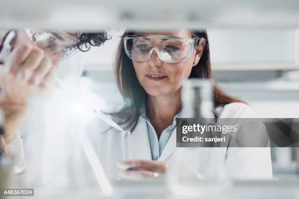 wissenschaftler mit einer automatischen pipette - groundbreaking female scientists stock-fotos und bilder