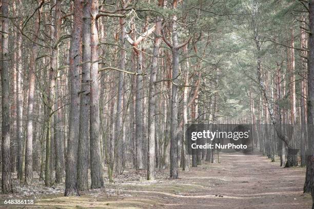 Views of Myslecinek recreational park are seen on 5 March, 2017. Myslecinek is the largest city park in Poland covering some 830 hectares with...