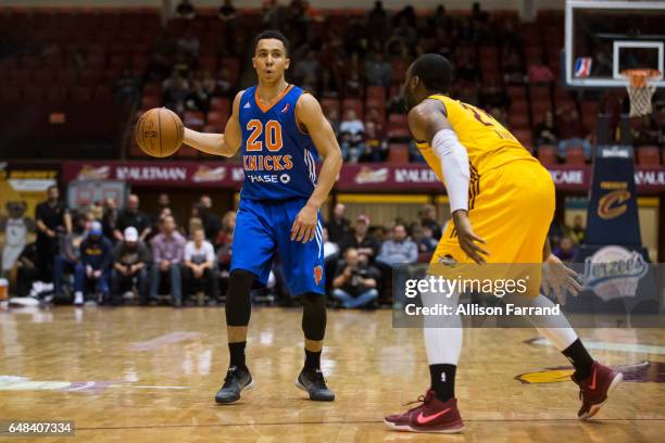 Travis Trice II of the Westchester Knicks looks to pass against the Canton Charge at the Canton Memorial Civic Center on March 5, 2017 in Canton,...