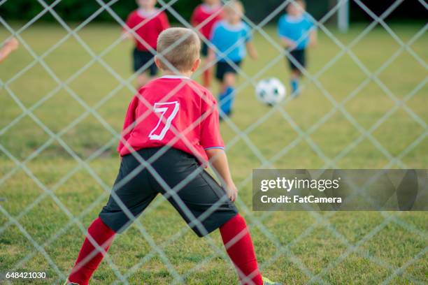 goalie guarding the net - fat soccer players stock pictures, royalty-free photos & images