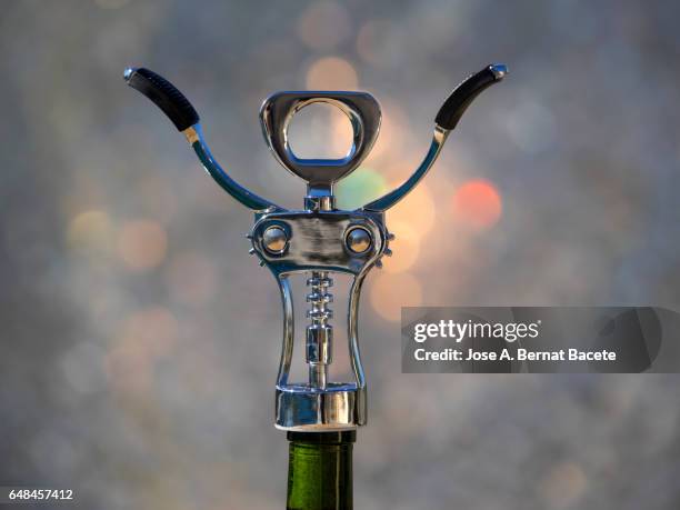 corkscrew in a wine cork in a bottle, illuminated by the light of the sun - wine cork stock pictures, royalty-free photos & images