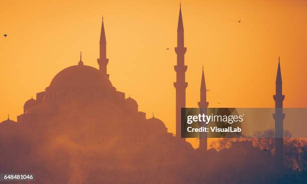 suleymaniye moskee bij zonsondergang - minaret stockfoto's en -beelden