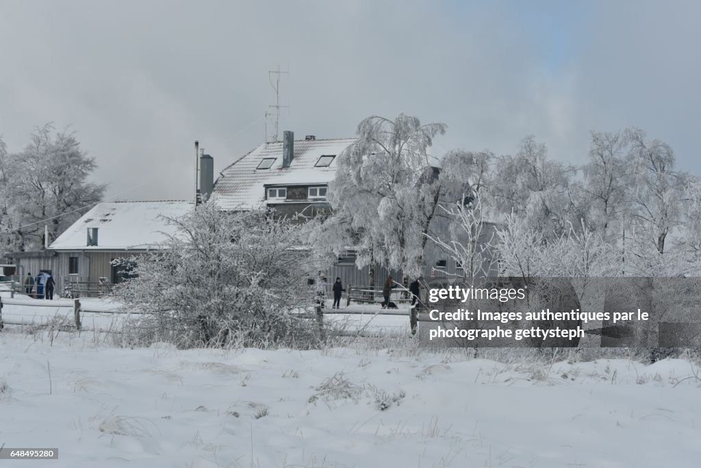 The frozen landscape behind "Baraque Michel" in Hautes Fagnes