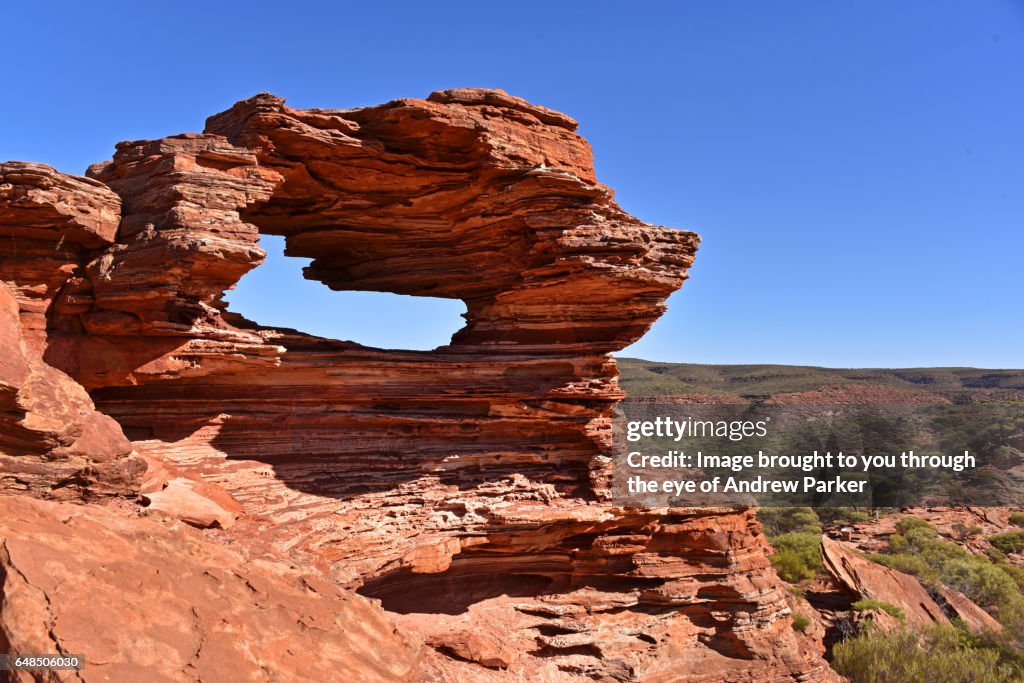 Nature's Window