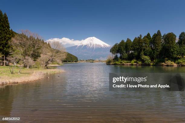 fuji spring view - 静岡県 stockfoto's en -beelden