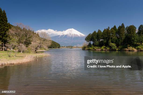 fuji spring view - 静岡県 - fotografias e filmes do acervo
