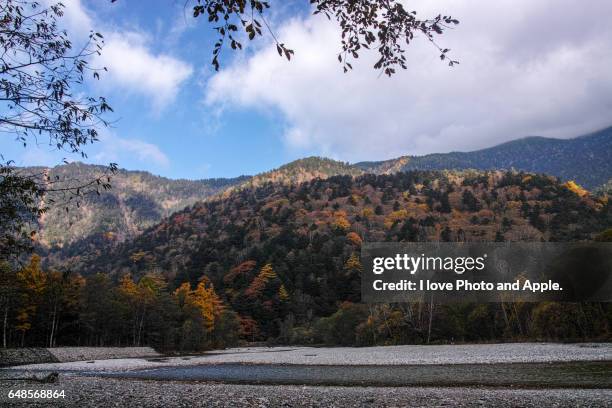 kamikochi autumn scenery - japanese larch stock pictures, royalty-free photos & images