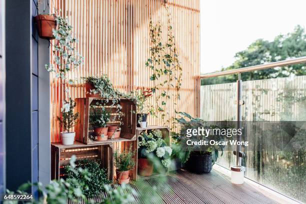 outdoor plants in balcony - balcon fotografías e imágenes de stock