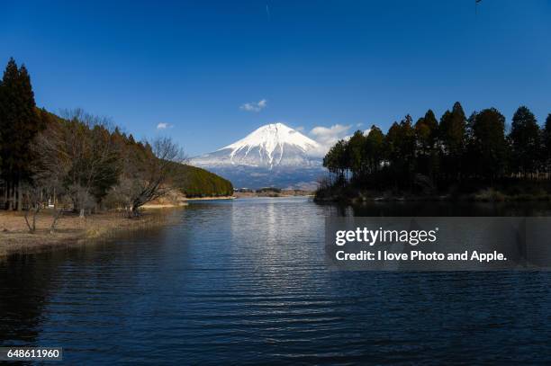 early spring fuji view - 静岡県 stockfoto's en -beelden