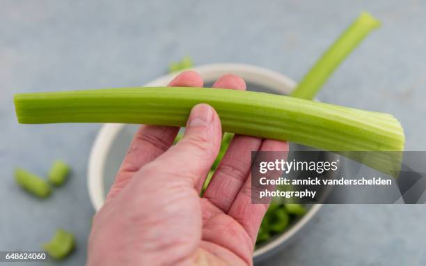 hand with cleaned celery stalk. - セロリ ストックフォトと画像