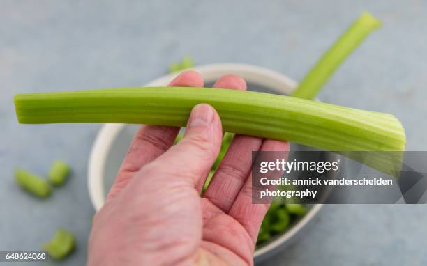 hand with cleaned celery stalk. - celery stock pictures, royalty-free photos & images