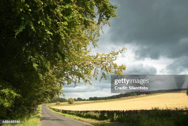 sunny country lane by farm fields with brooding sky - silentfoto sheffield stock pictures, royalty-free photos & images