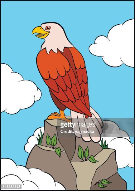 Aves De Dibujos Animados Para Niños Águila Linda Águila Se Asienta Sobre La  Roca Y Sonrisas Ilustración de stock - Getty Images
