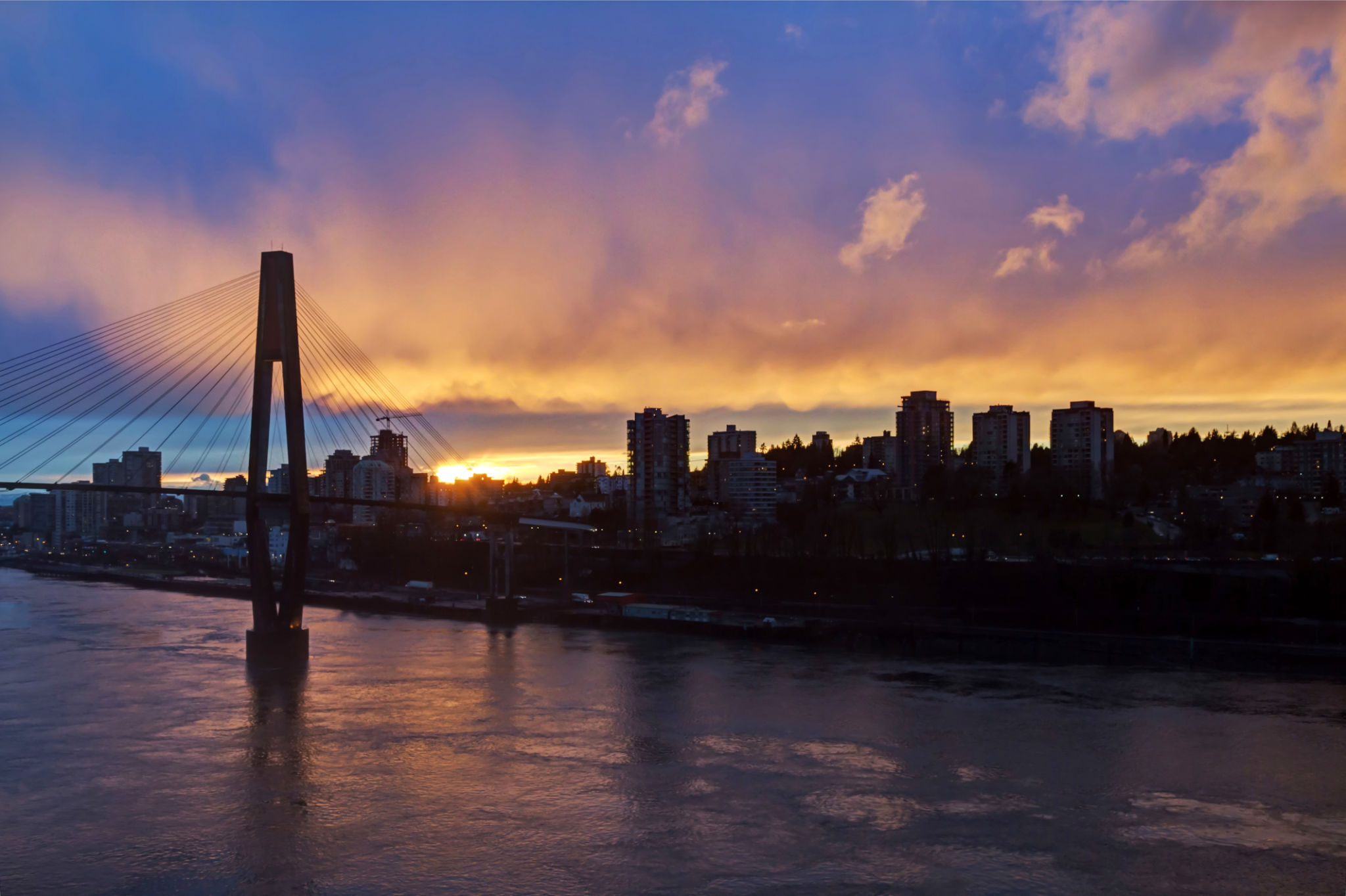 new westminster videographer