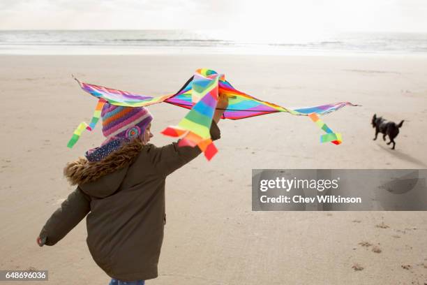 young girl holding a kite running on a beach with a dog - county waterford ireland stockfoto's en -beelden