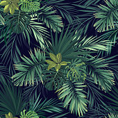 Seamless hand drawn botanical exotic vector pattern with green palm leaves on dark background