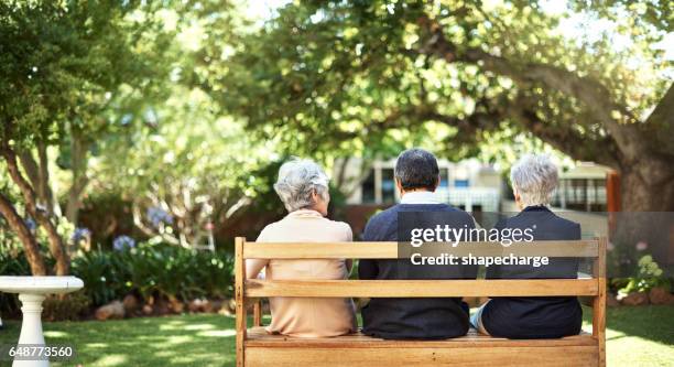 peace and quite out in the gardens - bench stock pictures, royalty-free photos & images