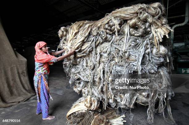 Jute Processing 240 Jute Processing Stock Photos, High-Res Pictures, and Images - Getty ...