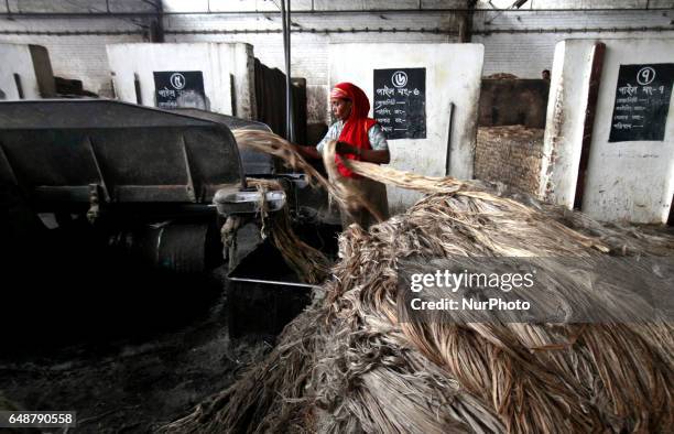 Jute Processing 232 Jute Processing Stock Photos, High-Res Pictures, and Images - Getty ...