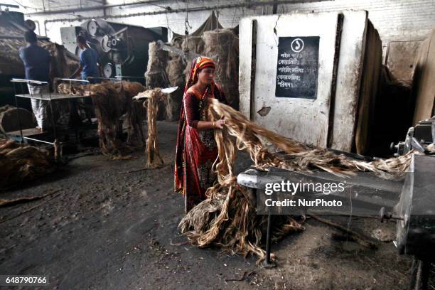 Jute Processing 246 Jute Processing Stock Photos, High-Res Pictures, and Images - Getty ...