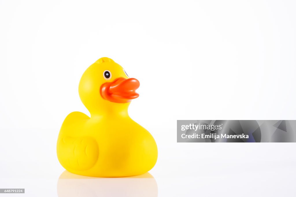 Yellow plastic duck